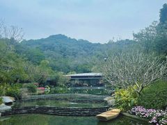 -云溪植物园