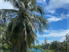 -锦里海景海鲜餐厅.三亚老字号(亚龙湾中心广场店)
