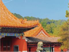 -颐和园