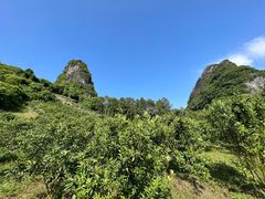 -大面山