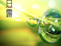 -西安市长乐公园