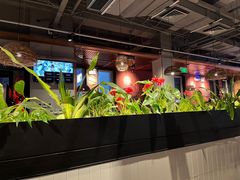 -管氏翅吧(台湾街店)