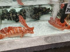 -万龙洲海鲜(大兴绿地缤纷城店)