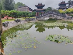 -关林