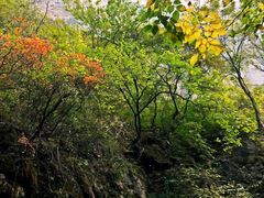 景点-云台山风景名胜区