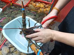 -船奇蒸汽海鲜·闽菜(八市海鲜总店)