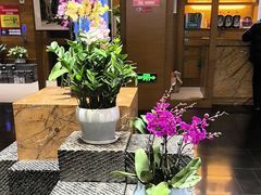 -黔蘑菇四季餐厅(观山湖店)