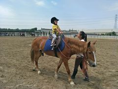 -月河湾马术俱乐部(朝阳店)