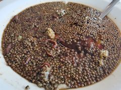 -胡马八破·川菜小馆(高新万达店)