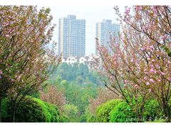 -重庆彩云湖湿地公园