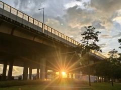 -宝安西湾红树林湿地公园