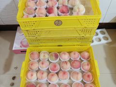 -老袁家蜜桃农场·阳山水蜜桃