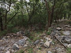 -阳台山自然风景区