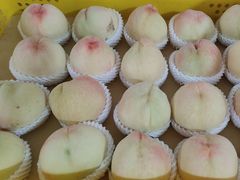 -老袁家蜜桃农场·阳山水蜜桃