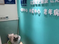 -美迦爱-牙专科·兔科·骨科诊疗中心(北苑店)