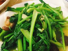 -煲来饱去冷水鱼