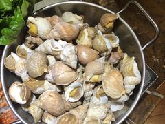 翡翠螺-广州中心皇冠假日酒店-环市食坊·海鲜自助餐厅