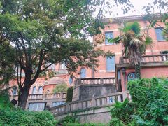 -上海佘山国家森林公园西佘山园