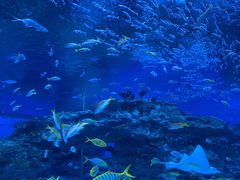 -海合安成都极地海洋公园