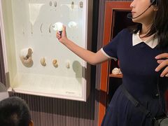 -青岛贝壳博物馆