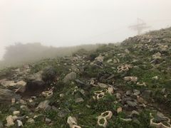 -北京灵山风景区