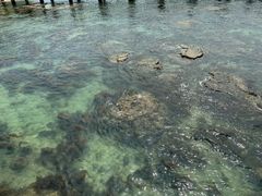 -三亚西岛海洋文化旅游区