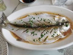 清蒸白鱼-蟹天蟹地农家菜·阳澄湖大闸蟹(浅水湾店)