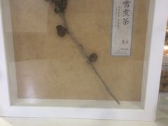 -扫雪煮茶(西村店)