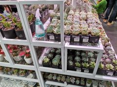 -KKV(深圳宏发大仟里店)