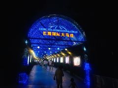 -广州长隆国际大马戏