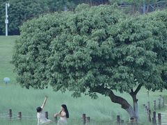 -红花山公园