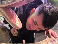 -正佳雨林生态植物园