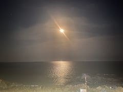 -蟹之国·精品蟹料理(极地店)