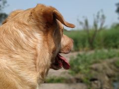 -驿舍·民國老营房院子私房菜(科学会堂店)