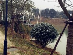 IMG_6860-帐篷客·溪龙茶谷度假酒店