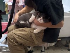 -FAELING PETS美天灵宠物(合生汇店)