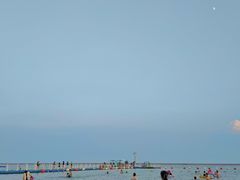 -碧海金沙