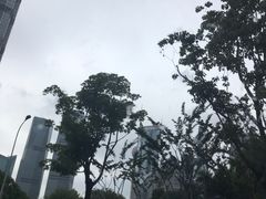 -陆家嘴世纪金融广场