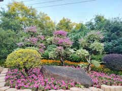 -广州莲花山旅游区