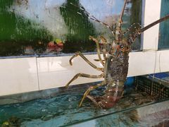 -原龙海鲜大排档(美食地标店)