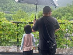 -芳草地度假酒店·野炉中餐厅