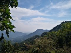 -大岭沟猕猴桃谷风景区