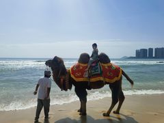 -三亚海棠湾万丽度假酒店