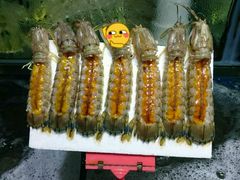 有膏濑尿虾-蚝专家(北滘店)