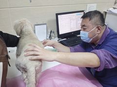 -北京观赏动物医院·24小时大型综合·猫专科·异宠专科