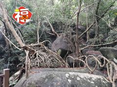 -七仙岭温泉国家森林公园