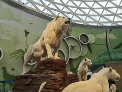 -陕西自然博物馆