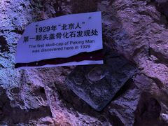 -周口店北京人遗址公园