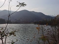 -虎洞山庄食府