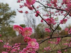 -广富林郊野公园